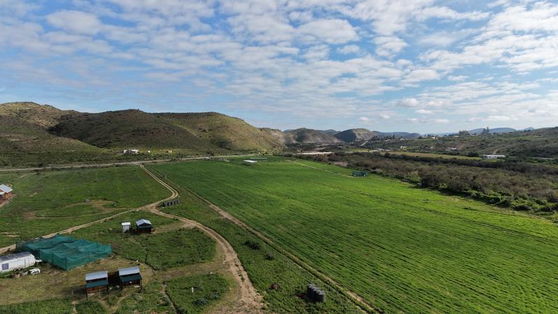 0 Bedroom Property for Sale in Van Wyksdorp Western Cape